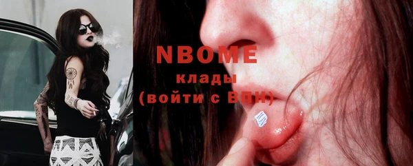 прущие грибы Алексеевка