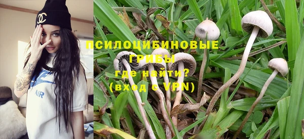 прущая мука Алексин