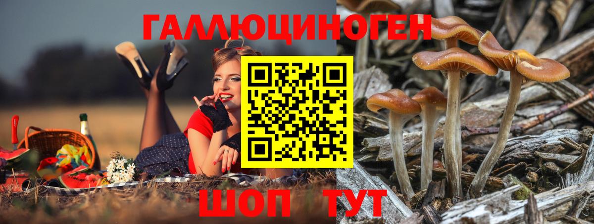 Усинск  Псилоцибиновые грибы ЛСД  закладки  Вход с VPN 